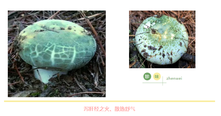 菌類揭秘：青頭菌護(hù)肝，羊脂菌潤(rùn)肺，硒含量驚人，超越人參、豬肉