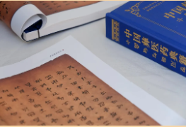 臨滄中醫(yī)夜市|交流借鑒促發(fā)展，鎮(zhèn)康專場啟新篇