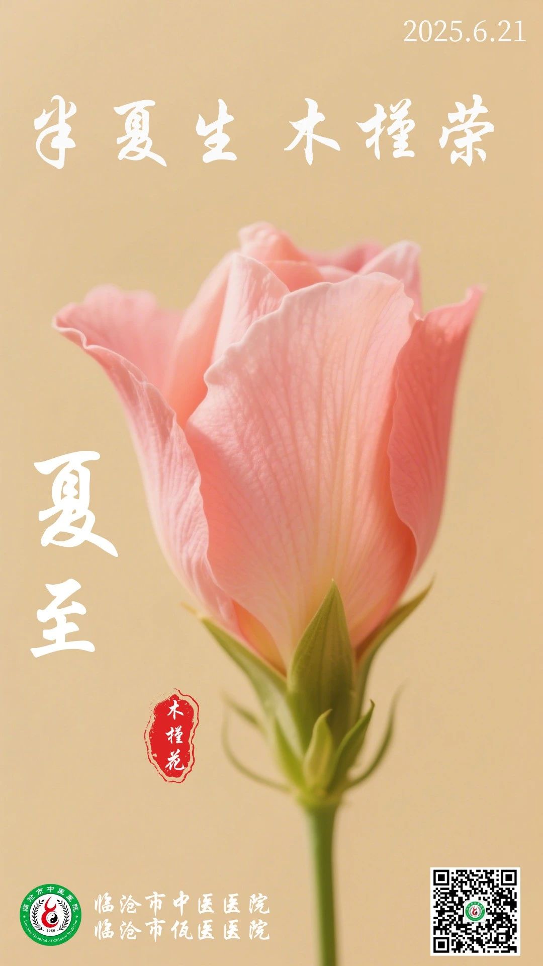 二十四節(jié)氣 | 夏至：半夏生，木槿榮